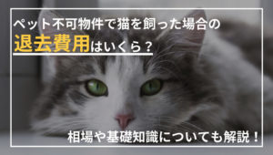 ペット不可物件で猫を飼った場合の退去費用は？相場や基礎知識を解説