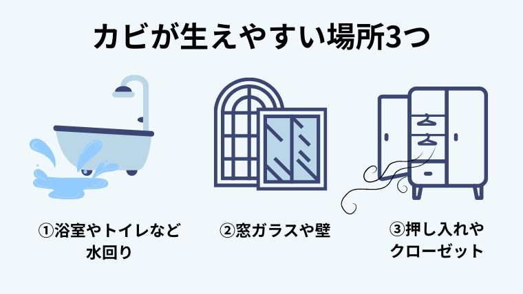 ３．必見！ゴミ屋敷でカビが発生しやすい場所