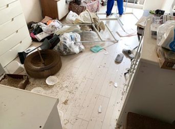 特殊清掃_墨田区作業前