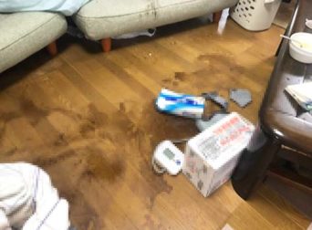 特殊清掃_東京都品川区作業前