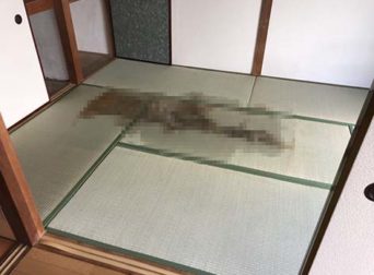 特殊清掃_東京都杉並区作業前