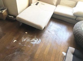 特殊清掃_東京都新宿区作業前