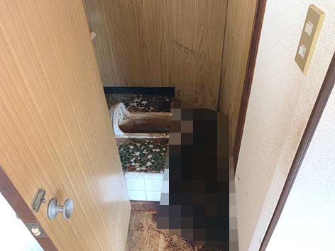 特殊清掃_神奈川県川崎市作業前