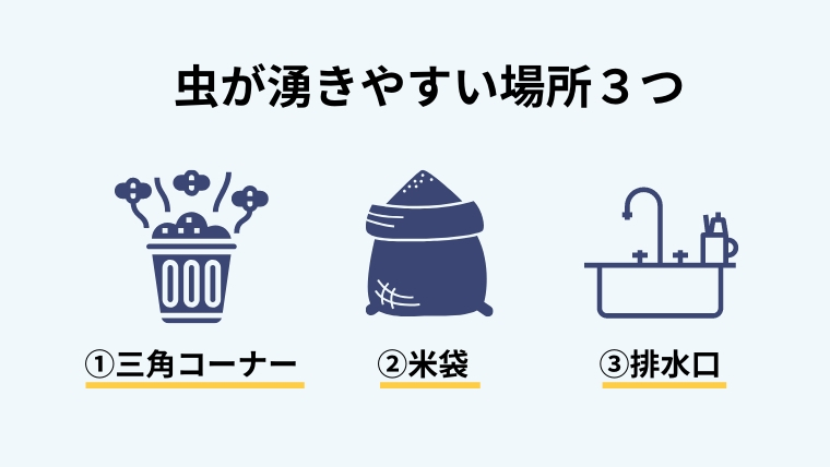 家に虫が湧くのはどうして?主な原因は3つ!正しい駆除方法と予防策を解説1