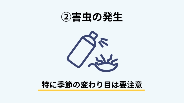 【ゴミ屋敷に住む女性へ】いますぐ変わりたいなら知っておくべき真実