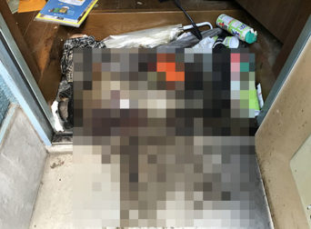 特殊清掃_東京都墨田区作業前