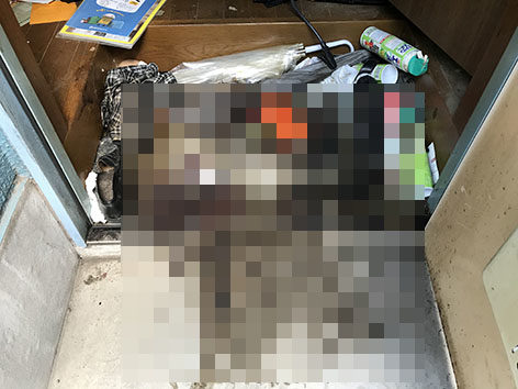 特殊清掃_東京都墨田区作業前